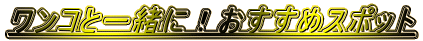 RƈꏏɁI߃X|bg 